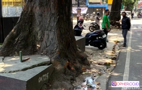 Harapan Ortu Siswa SMAN 5 Bandung