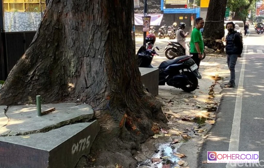 Harapan Ortu Siswa SMAN 5 Bandung