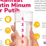 manfaat air putih untuk kesehatan