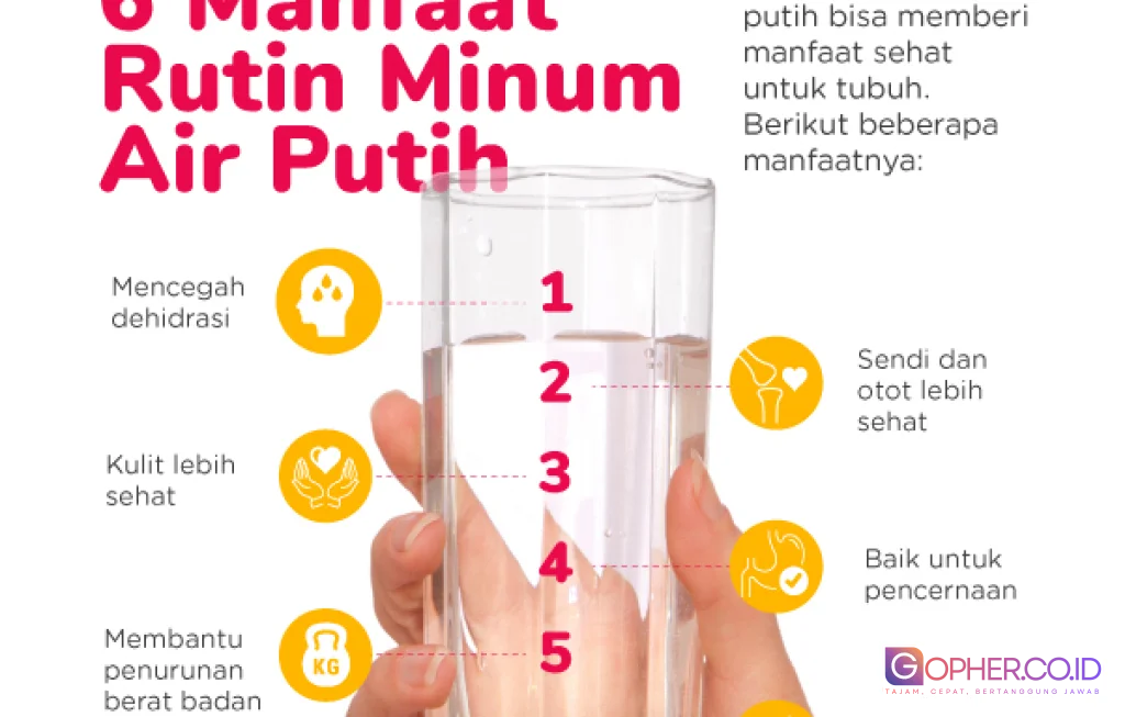 manfaat air putih untuk kesehatan