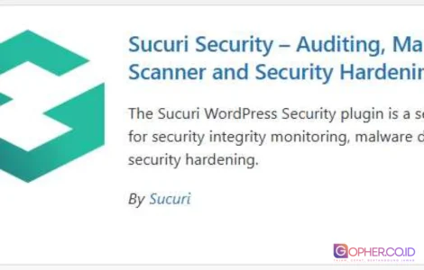 plugin security audit wordpress