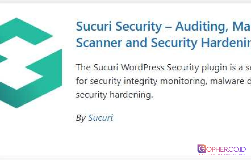 plugin security audit wordpress