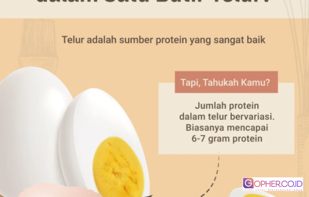 protein dalam telur