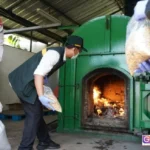 gulma invasif impor Australia