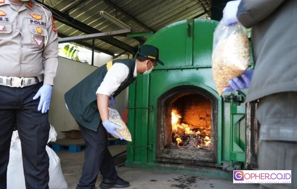 gulma invasif impor Australia